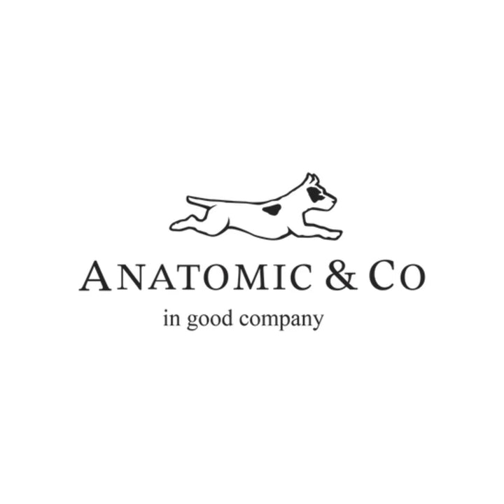 Anatomic